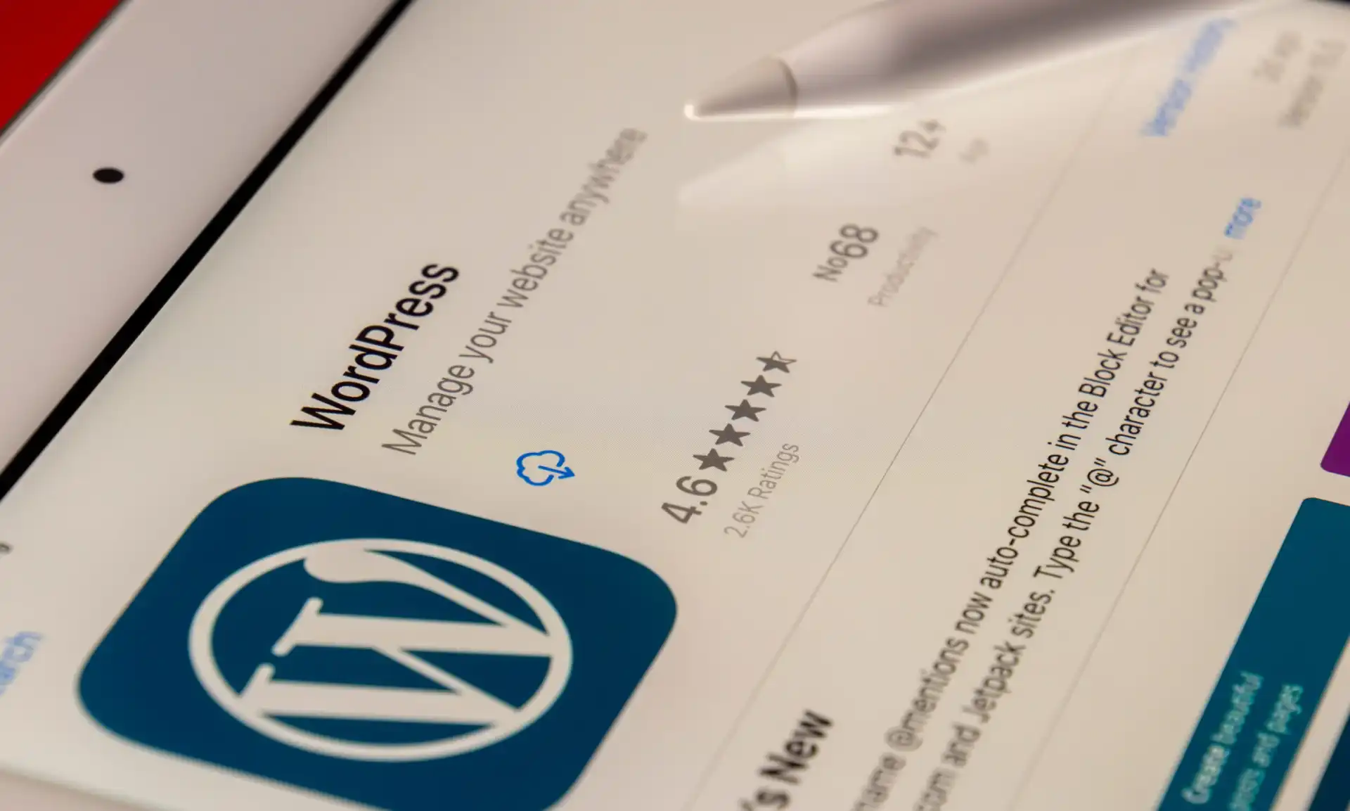 wordpress development services